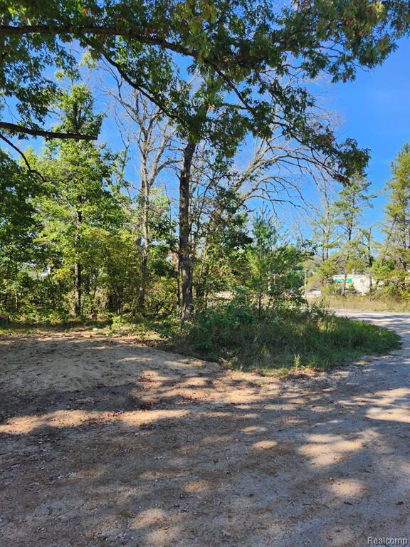 00 Springtime, Webber Township, MI 49304 - photo 3