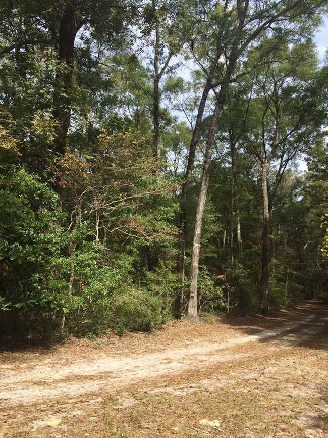 LOT 4 River Plantation Rd, Crawfordville, FL 32327 - photo 2