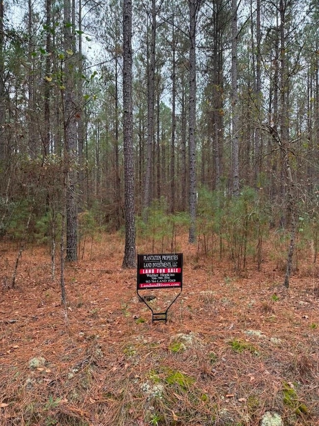 Youngblood Rd, Sparta, GA 31087 - photo 3