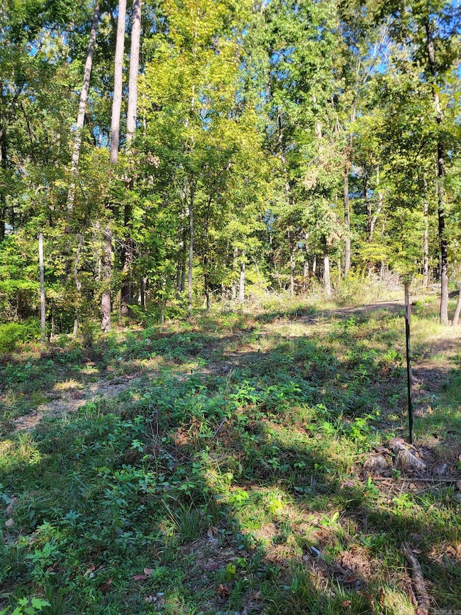 000 Coleman Ave, Little Rock, AR 72211 - photo 2