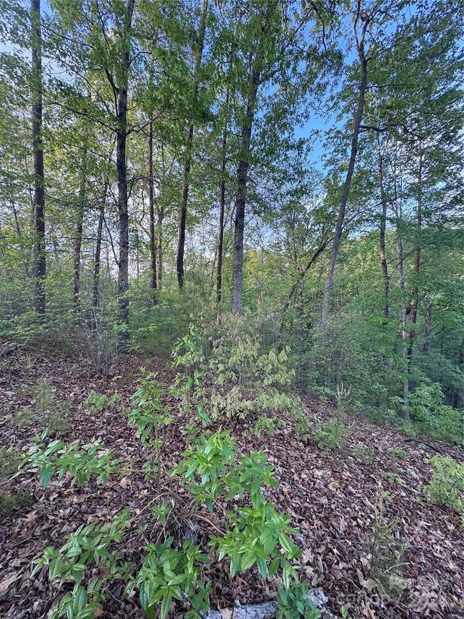 0 Willow Top Ln unit 315 CAR4131489, Lake Lure, NC 28746 - photo 2