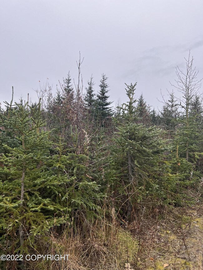 32814 Stacey Ln, Anchor Point, AK 99556 - photo 7