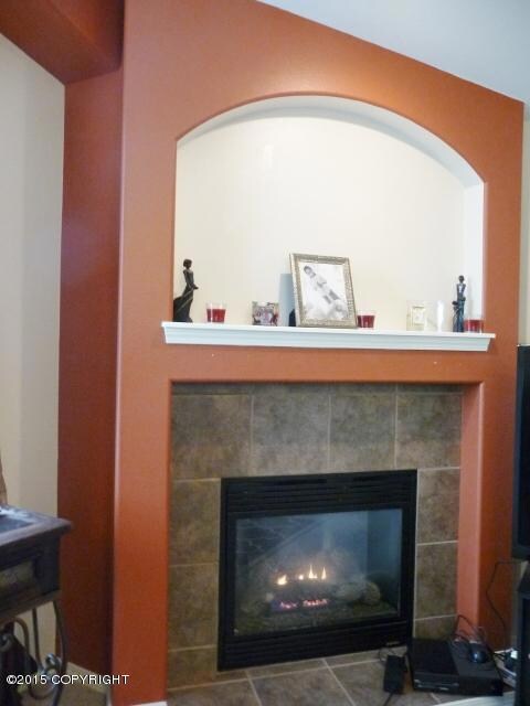 2932 Seclusion Cove Gas Fireplace (480x6