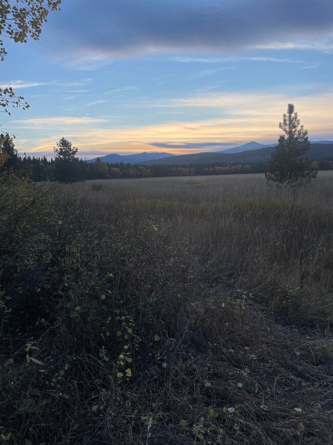 360 Chuck Wagon Ln, Cusick, WA 99119 - photo 6