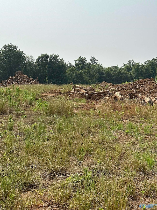 Tract 35 Hays Mill Rd, Elkmont, AL 35620 - photo 2