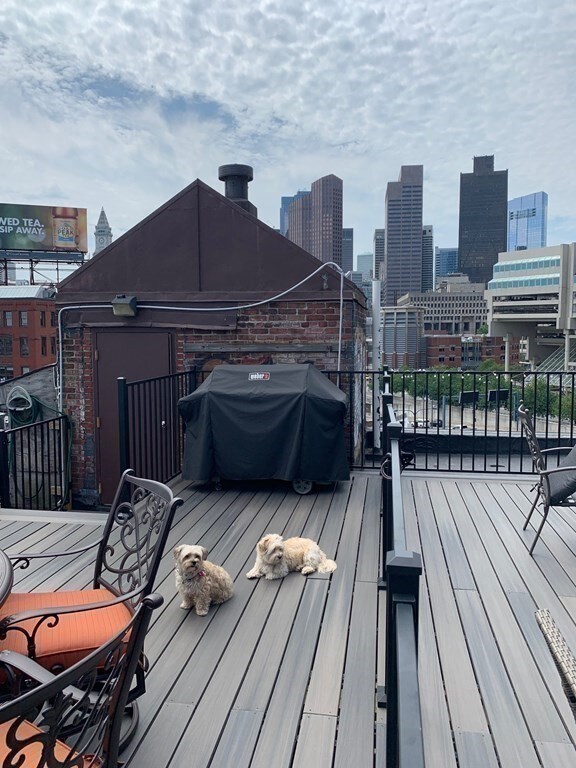 52 Cooper St unit 7, Boston, MA 02113 - photo 7