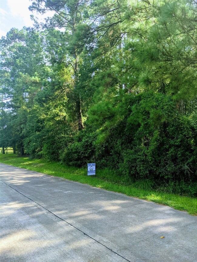 0 Tenn Oaks unit 2657542, Hockley, TX 77447 - photo 4