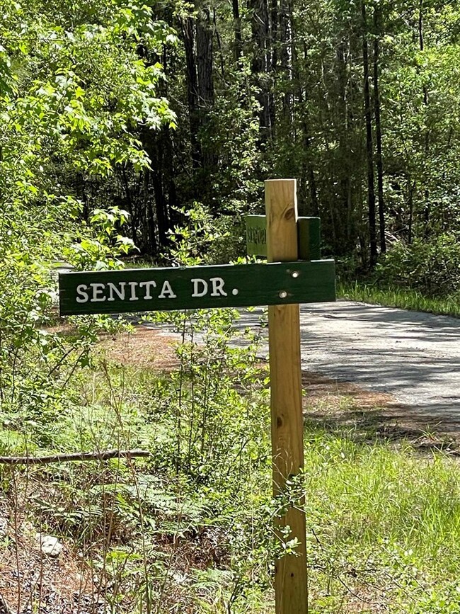 237 Senita Dr, Sam Rayburn, TX 75931 - photo 3