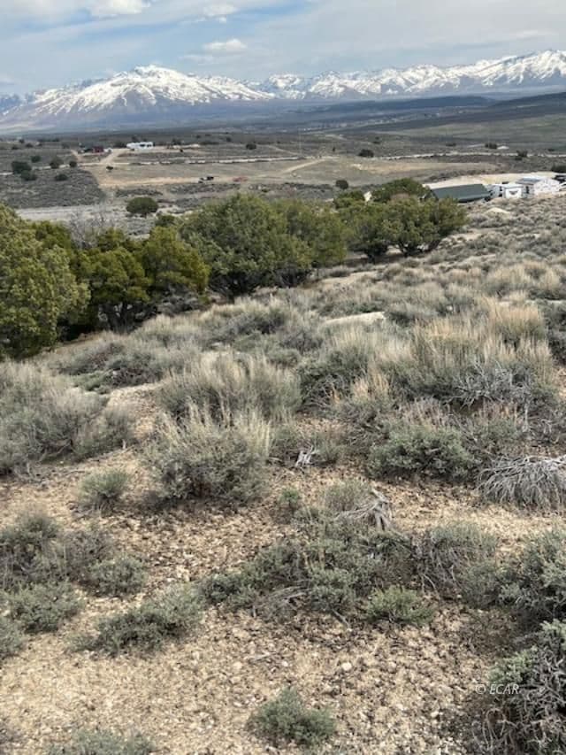 009 Grant Ave, Spring Creek, NV 89815 - photo 7