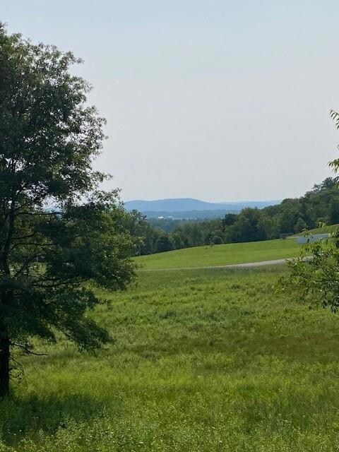 156 Schefflers Rd, Minisink, NY 10998 - photo 3