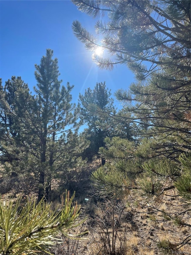 00 Oak St, Hartsel, CO 80449 - photo 5