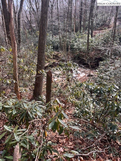 View of creek from lot