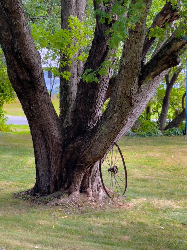 50 Nequasset Rd, Woolwich, ME 04579 - photo 3