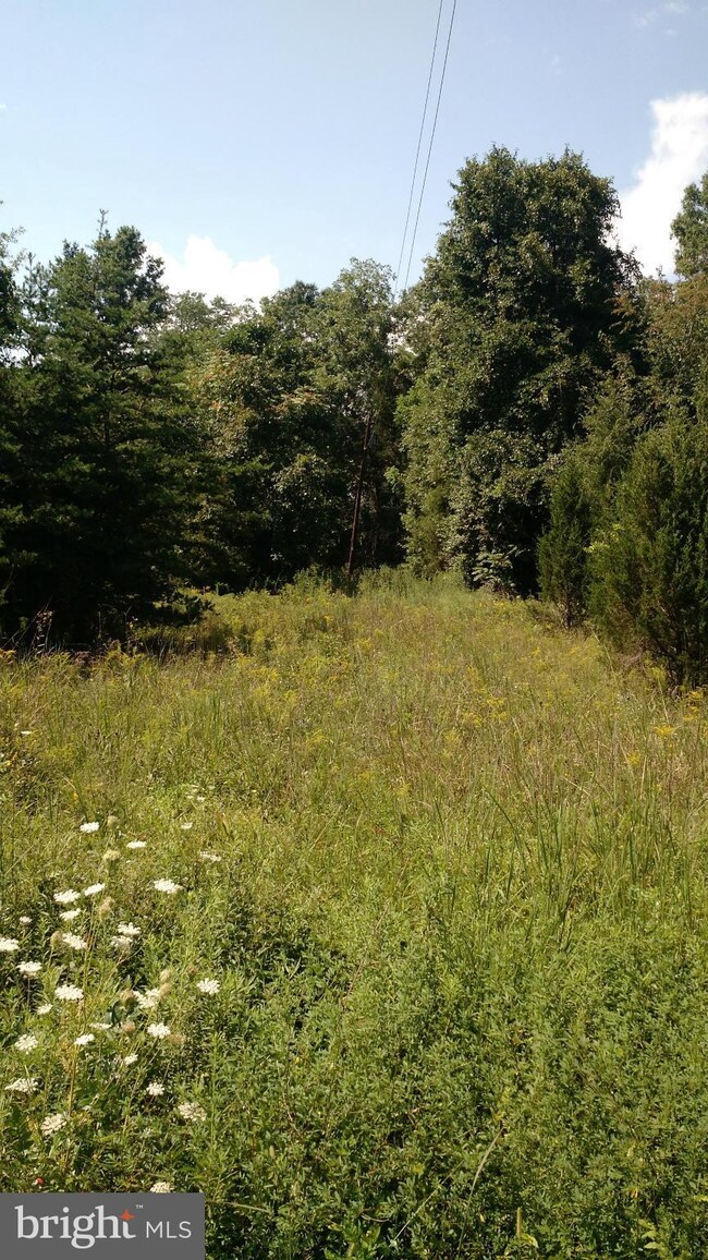 0 Hubbards Rd unit 1005207507, Elkwood, VA 22718 - photo 3