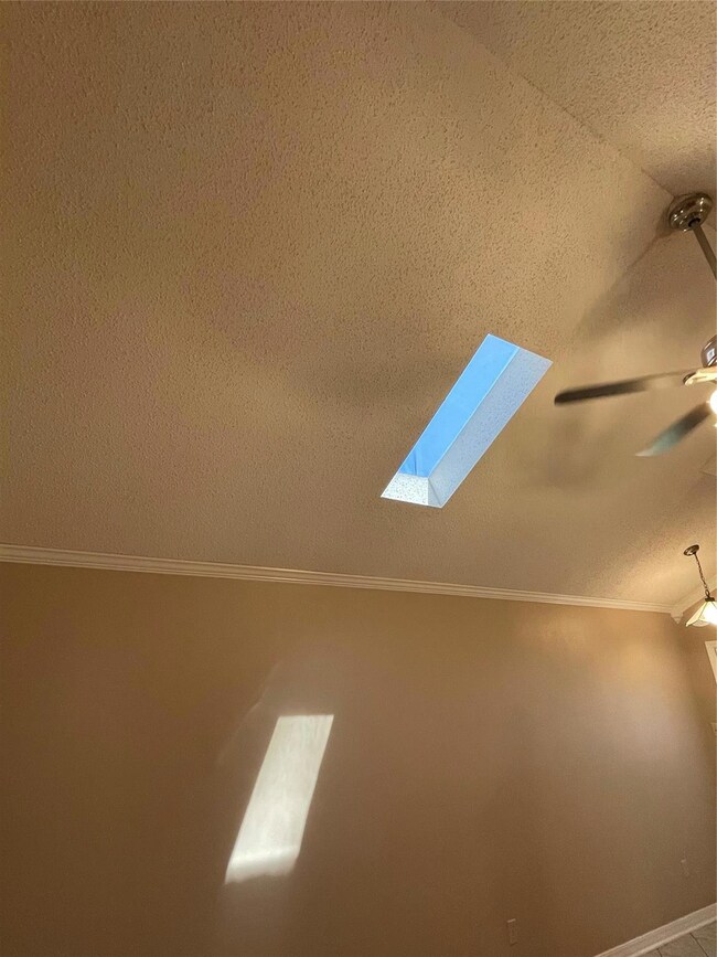 skylight in den