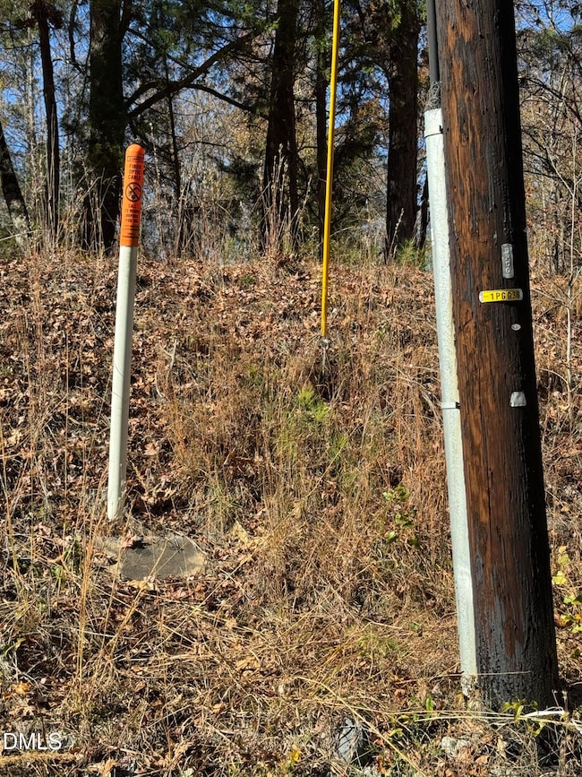 1817 Old Oxford Rd, Durham, NC 27704 - photo 4