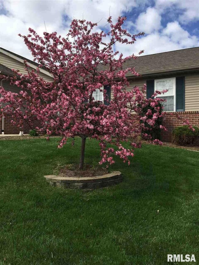 511 Fox Den Cove, Peoria, IL 61607 - photo 4