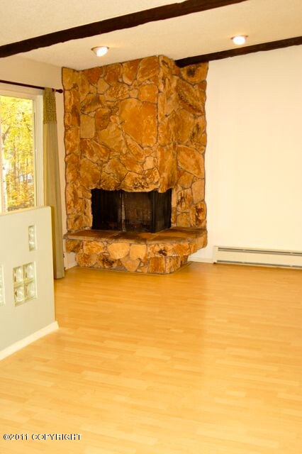 Fireplace in Great Room