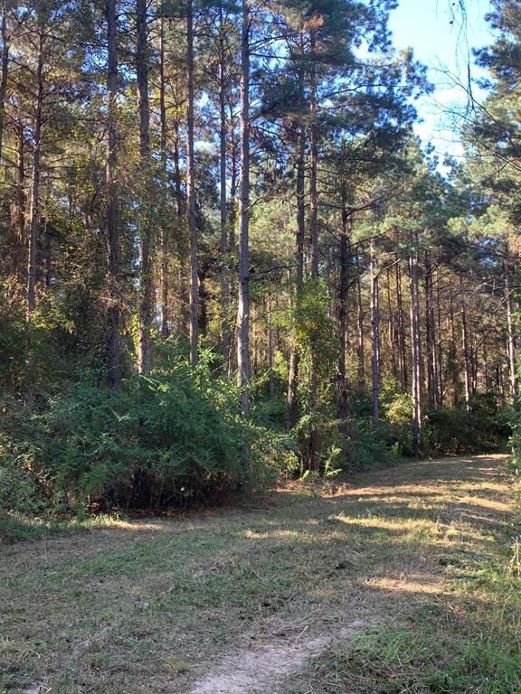 TBD Farm To Market Road 698, Nacogdoches, TX 75964 - photo 5