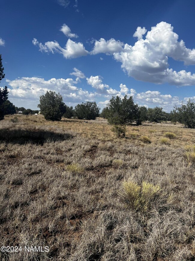 3101 W Yukon Dr unit 671, Ash Fork, AZ 86320 - photo 2