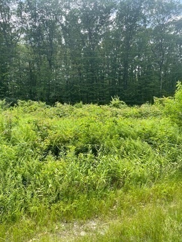 0 Twin River Rd unit 73458399, Lincoln, RI 02865 - photo 7