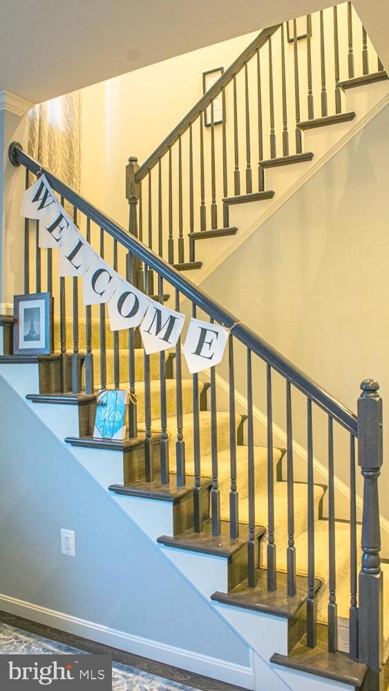 145 Wayland Rd, Culpeper, VA 22701 - photo 4