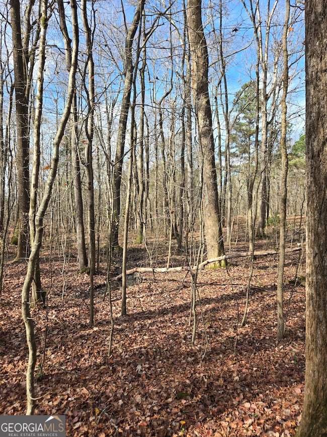 0 Yatesville Rd unit 10650403, Barnesville, GA 30204 - photo 7