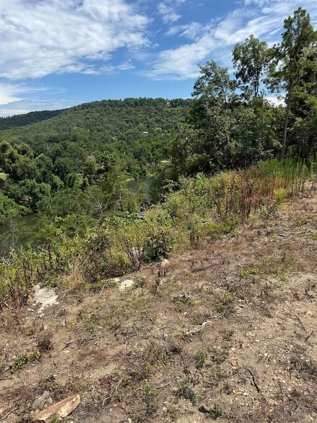 12950 Highway 5, Norfork, AR 72658 - photo 2