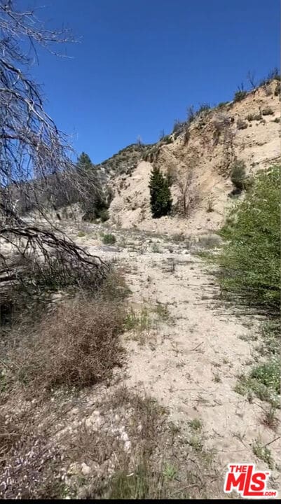 0 Pine Canyon Rd unit 25525357, Lake Hughes, CA 93532 - photo 2