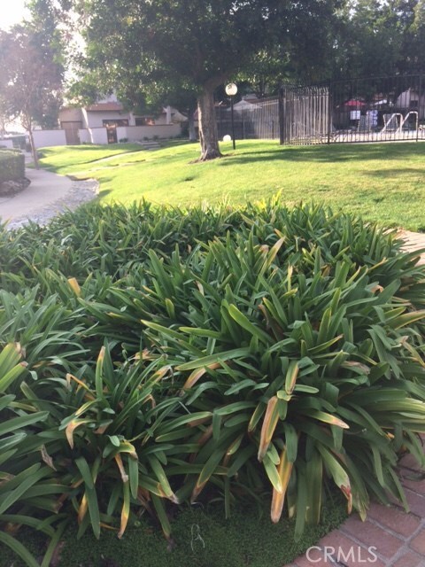 912 N Redding Way unit C, Upland, CA 91786 - photo 6