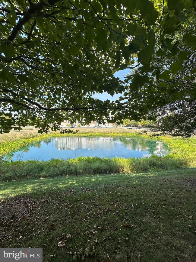 43508 Wheadon Terrace, Chantilly, VA 20152 - photo 3