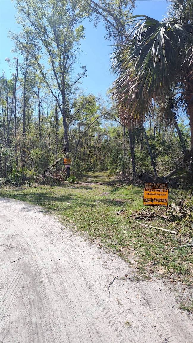 000 Strickland Landing Ct, Perry, FL 32348 - photo 3