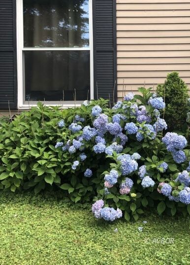 226 W State St, Athens, OH 45701 - photo 2