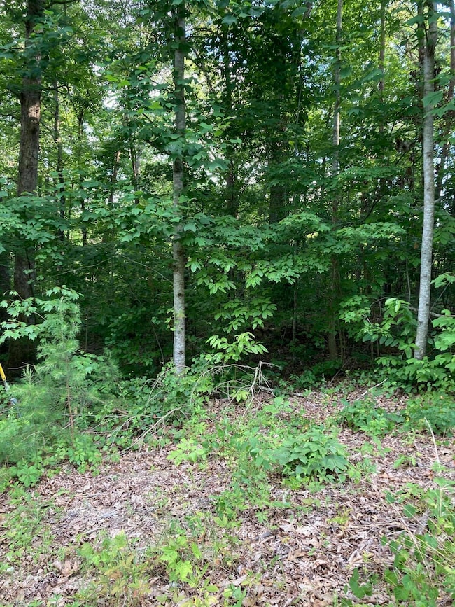 Lot 9 Pic 2