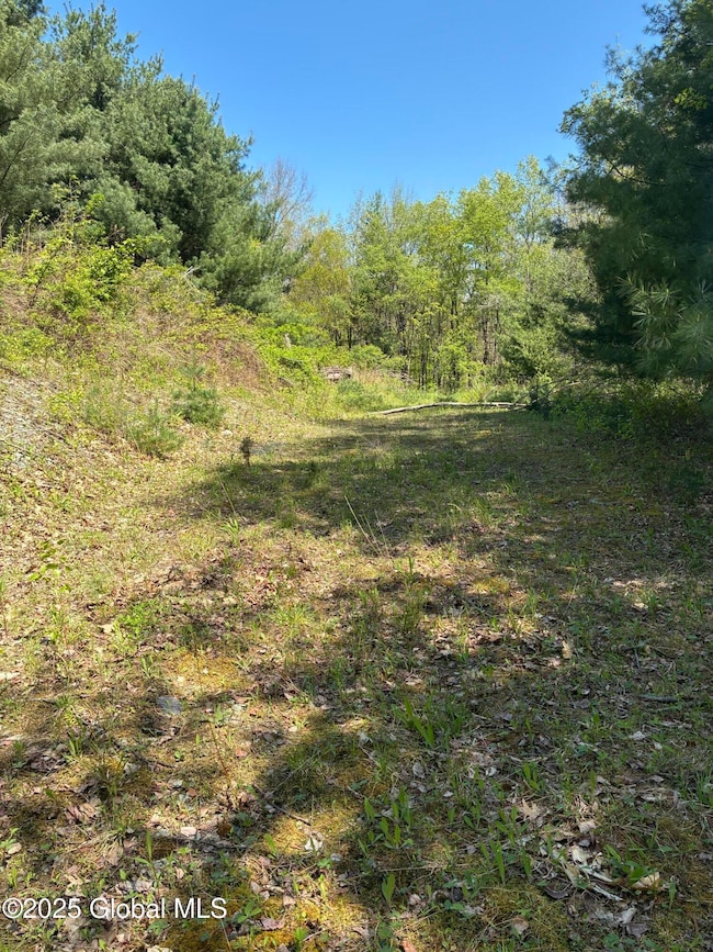 L21.3 County Route 5 & I90, Canaan, NY 12060 - photo 2