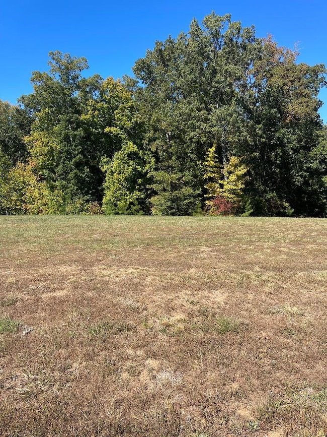 Lot 103 Southern Shore Point, Huntingdon, TN 38344 - photo 3