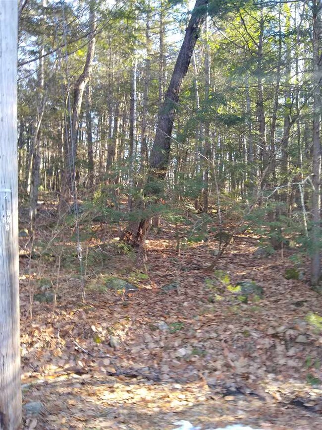 0 Forest Rd unit 7, Wolfeboro, NH 03894 - photo 4