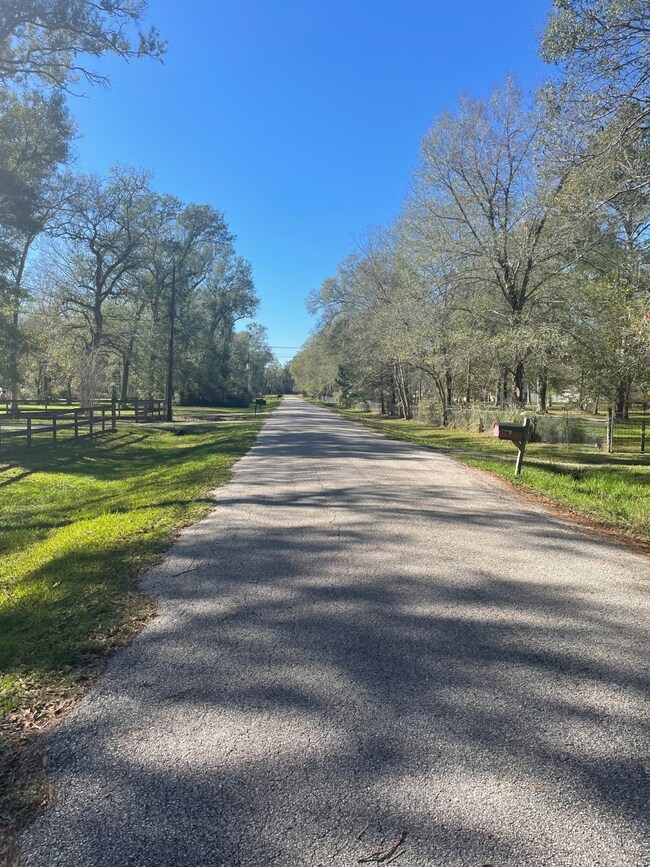 TBD County Road 441, Dayton, TX 77535 - photo 2