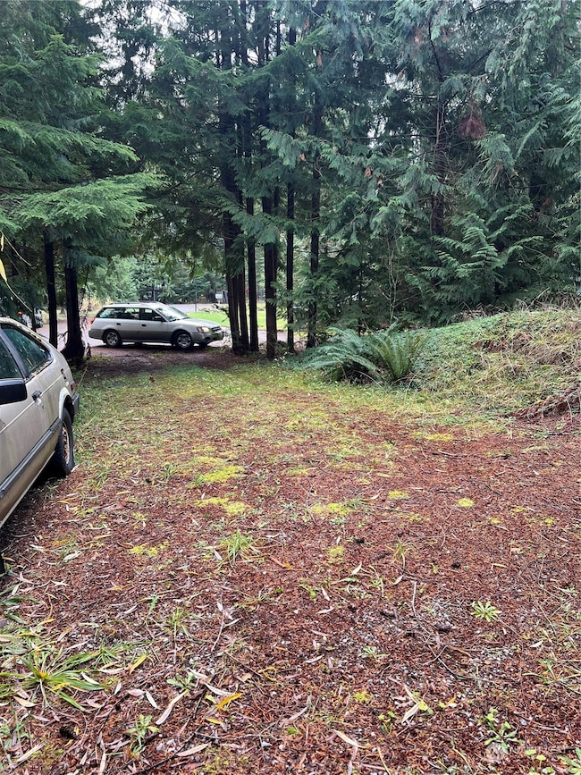 901 Ruby Valley Ct, Maple Falls, WA 98266 - photo 7