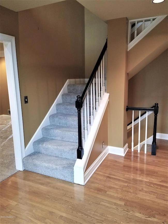 Black iron entry stairs case