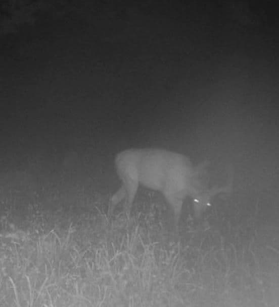 Lookout Trail, Kirksville, MO 63501 - photo 7