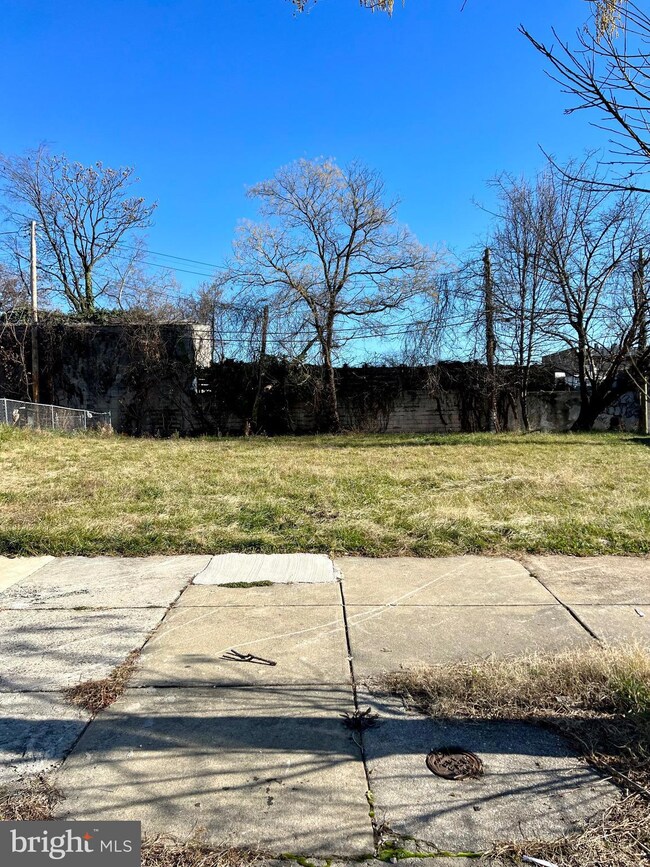 1124 N Carrollton Ave, Baltimore, MD 21217 - photo 3