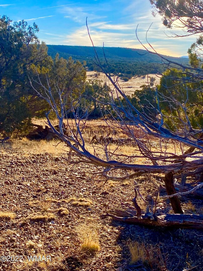 8571104D-1C44-4E21-B75E-599C42CEBDF2