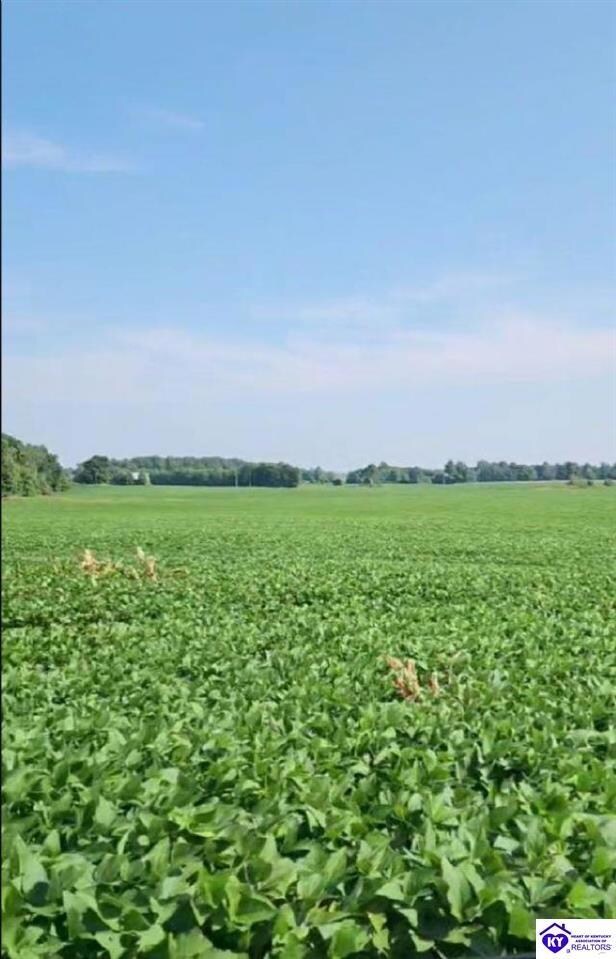 7585 - Tract 3 Sonora Rd, Sonora, KY 42776 - photo 4