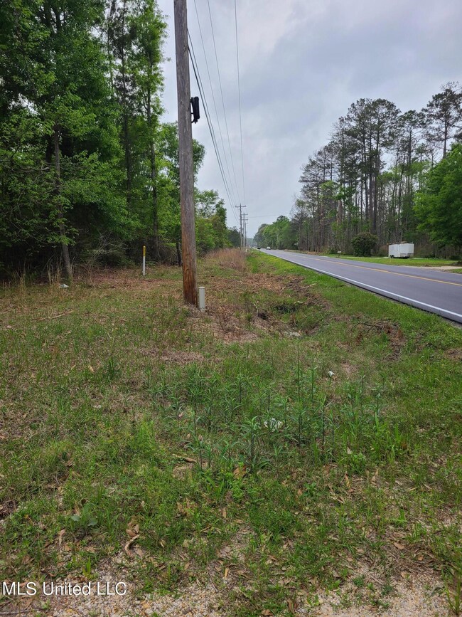 Road View
