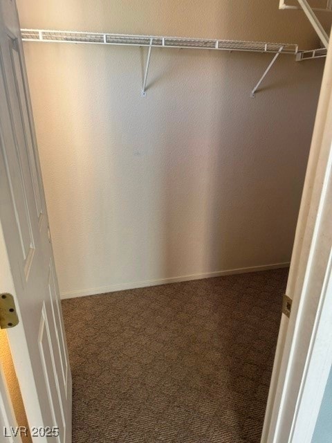 Spacious closet with carpet