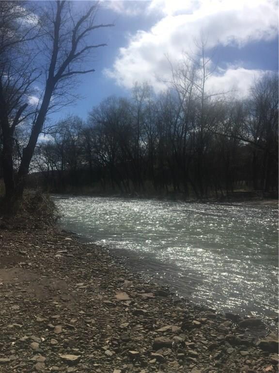 15889 S Highway 71, West Fork, AR 72774 - photo 7