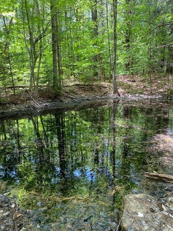 0 Bryant Rd L:16, Cummington, MA 01026 - photo 6