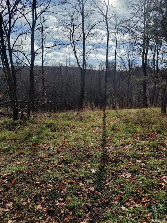 4547 Potter Rd, Bear Lake, MI 49614 - photo 2