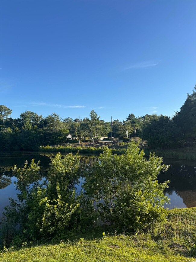 Water view